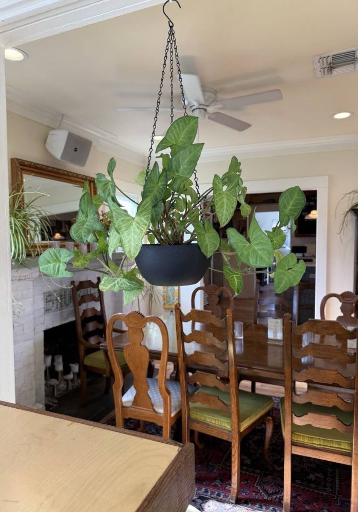 Harlem Coffee, Co. specialty coffee shop in Phoenix - photo 11