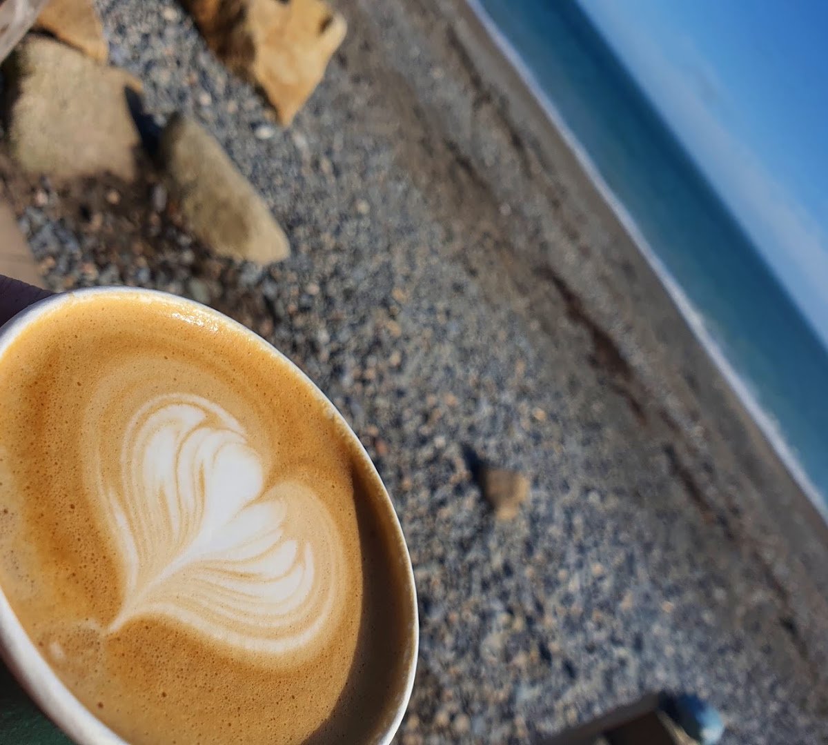 Fred & Nancy's Killiney specialty coffee shop in Dublin - photo 4