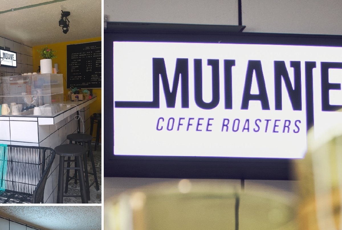 Interior of Mutante tostadores de café, specialty coffee shop in Mexico City