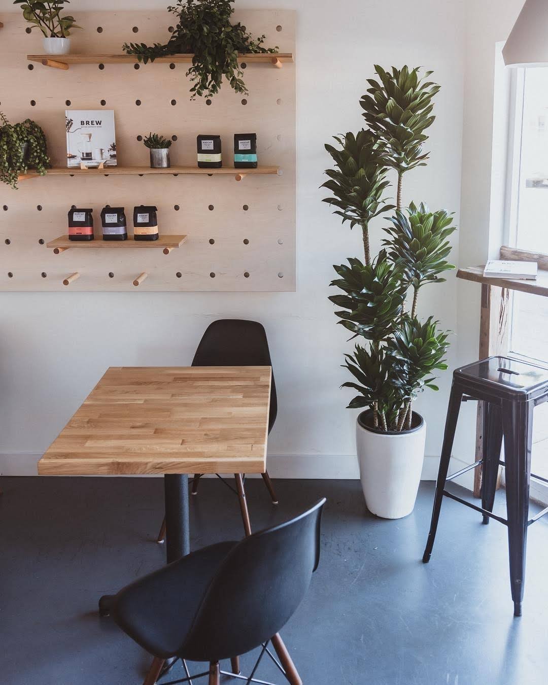 Berdena's specialty coffee shop in Phoenix - photo 9