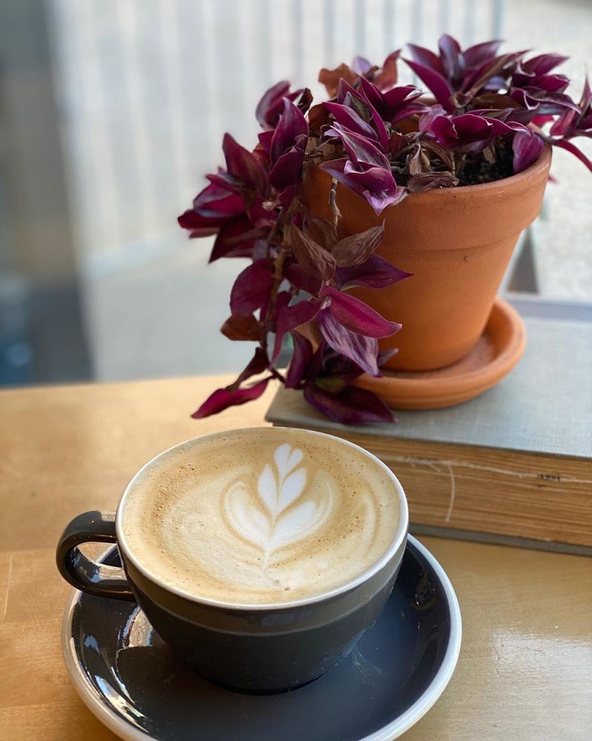 Coffee at Overwinter Coffee - Elmwood Village, specialty coffee shop in Buffalo