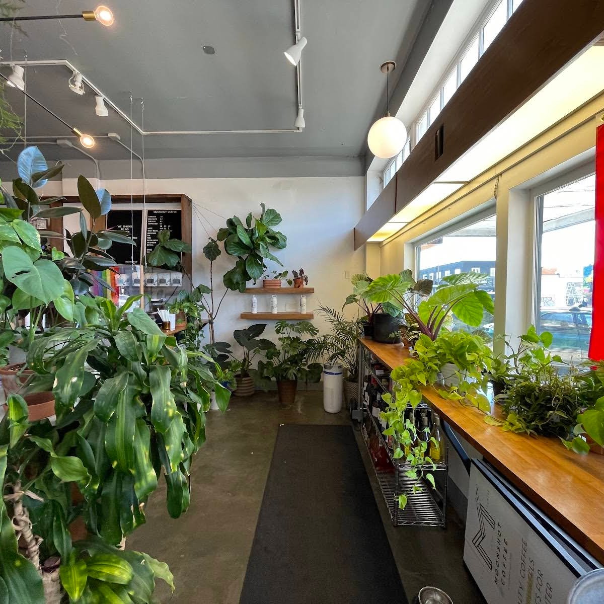 Moonshot Coffee specialty coffee shop in Seattle - photo 7