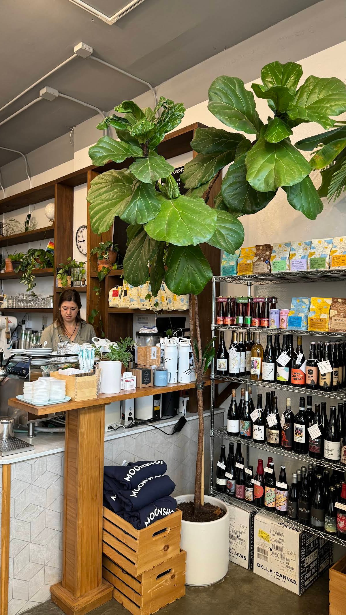 Moonshot Coffee specialty coffee shop in Seattle - photo 9