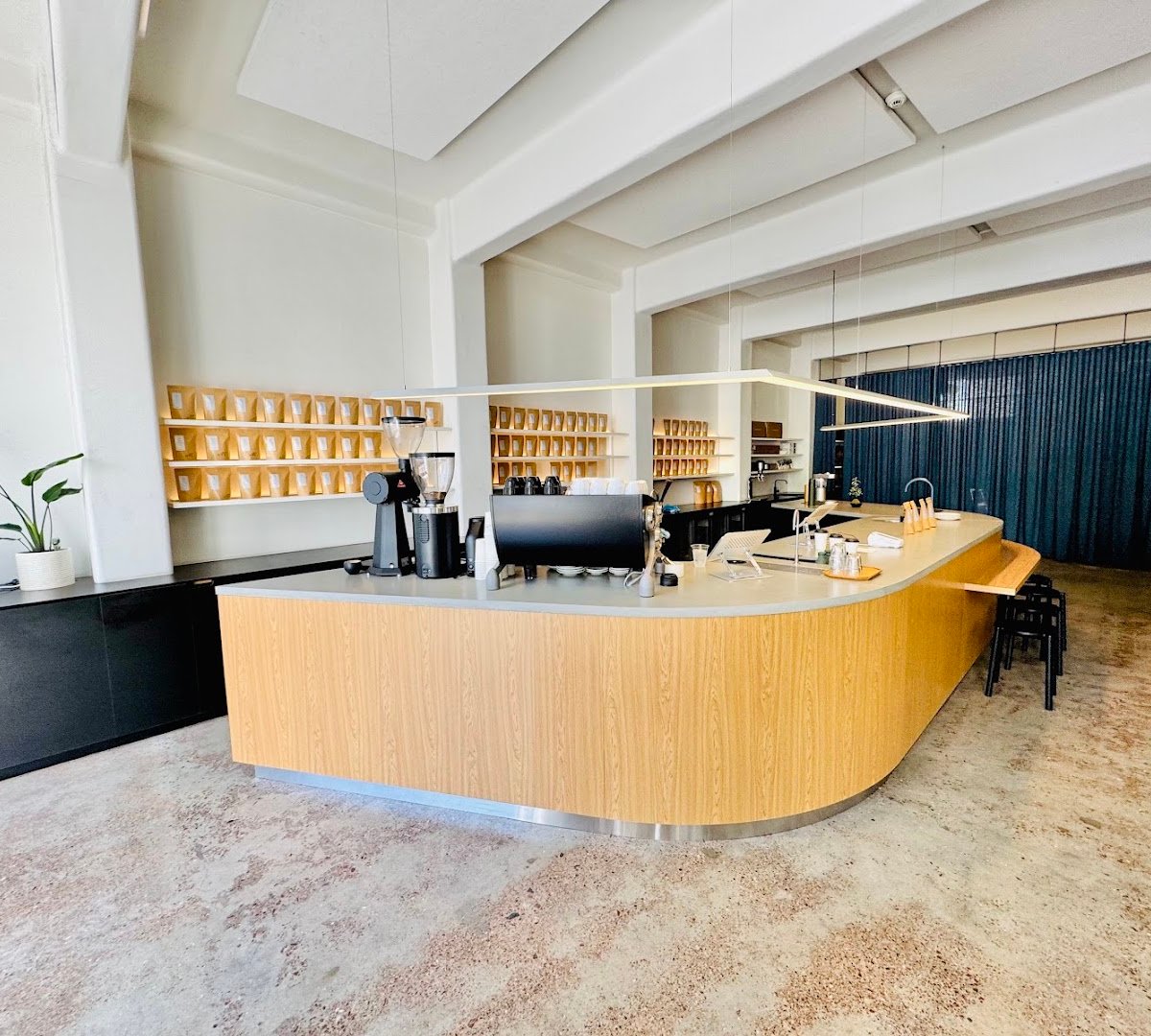 Interior of Maeve Coffee Roasters, specialty coffee shop in Auckland