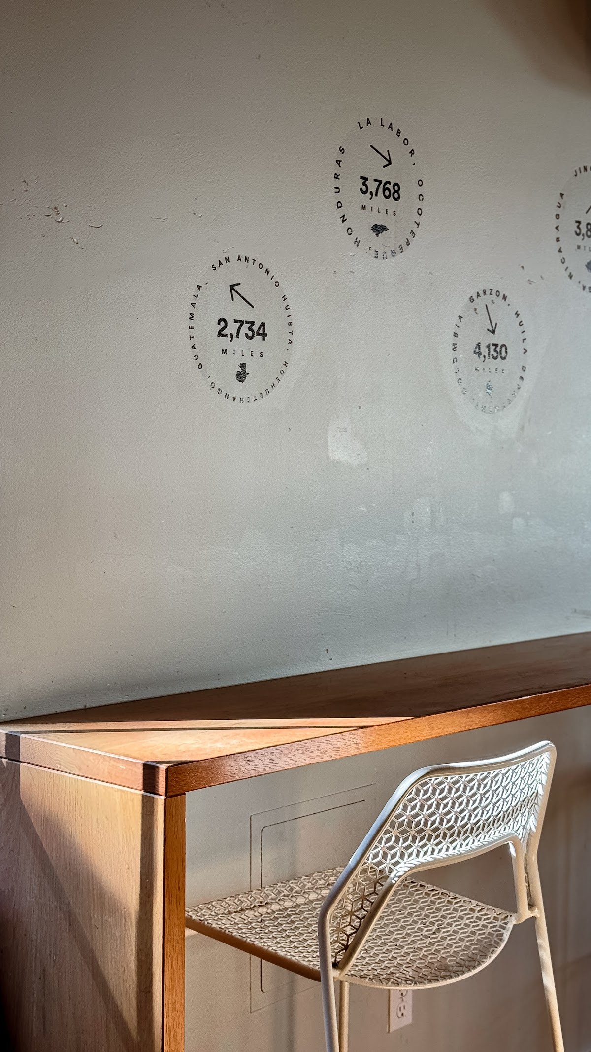 Upper Left Roasters specialty coffee shop in Portland - photo 11