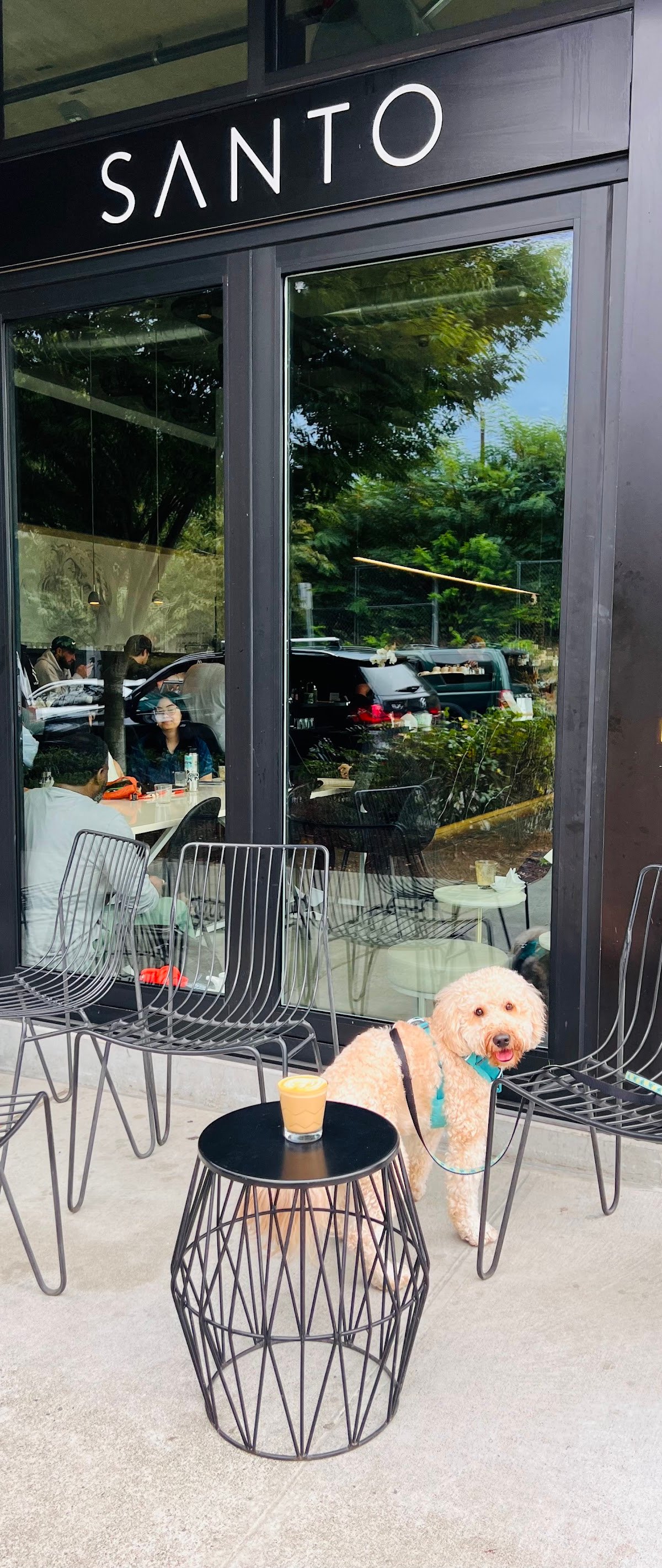 Santo Coffee Co specialty coffee shop in Seattle - photo 12