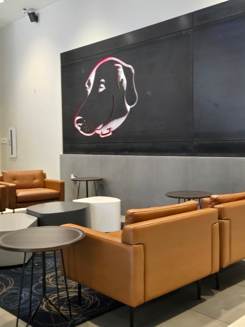 Interior of Buddy Brew Coffee, specialty coffee shop in Tampa-St. Petersburg