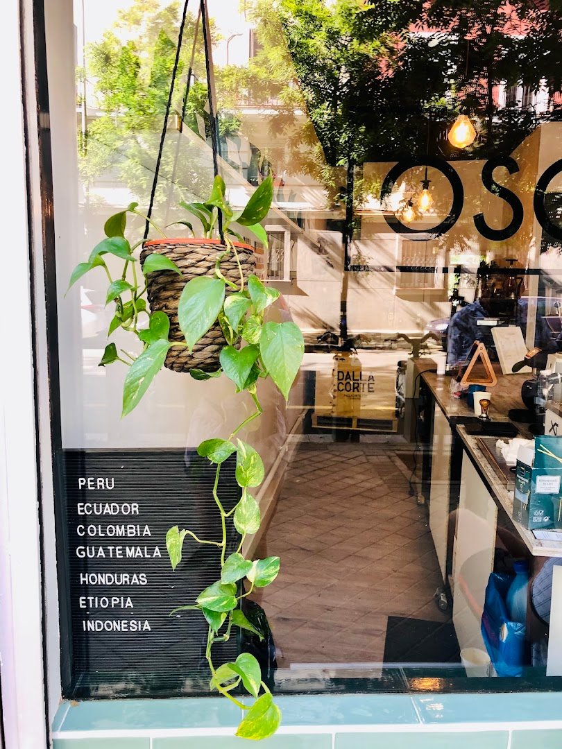 OSO CAFÉ specialty coffee shop in Madrid - photo 4