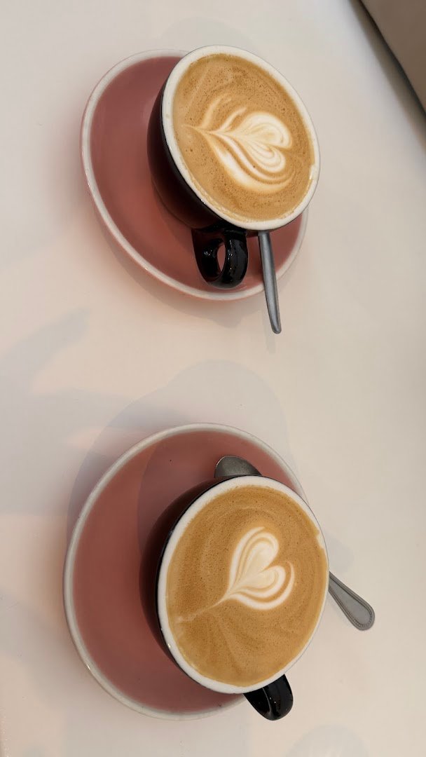 OSO CAFÉ specialty coffee shop in Madrid - photo 7
