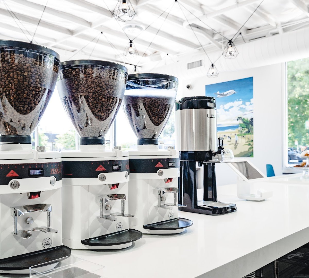 Interior of Chocolate Fish Coffee Roasters, specialty coffee shop in Sacramento