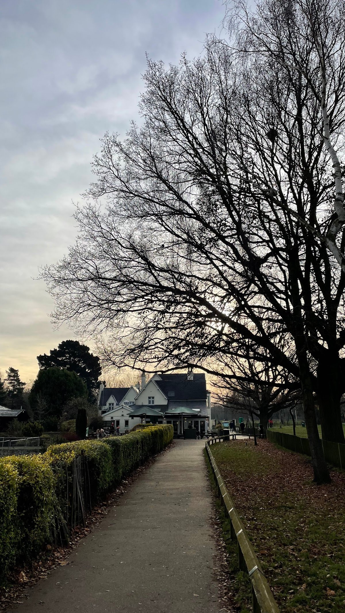 The Skylark Café specialty coffee shop in London - photo 11