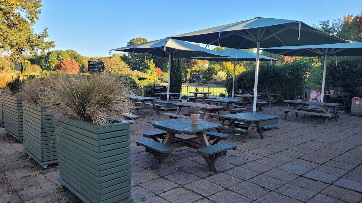 The Skylark Café specialty coffee shop in London - photo 4