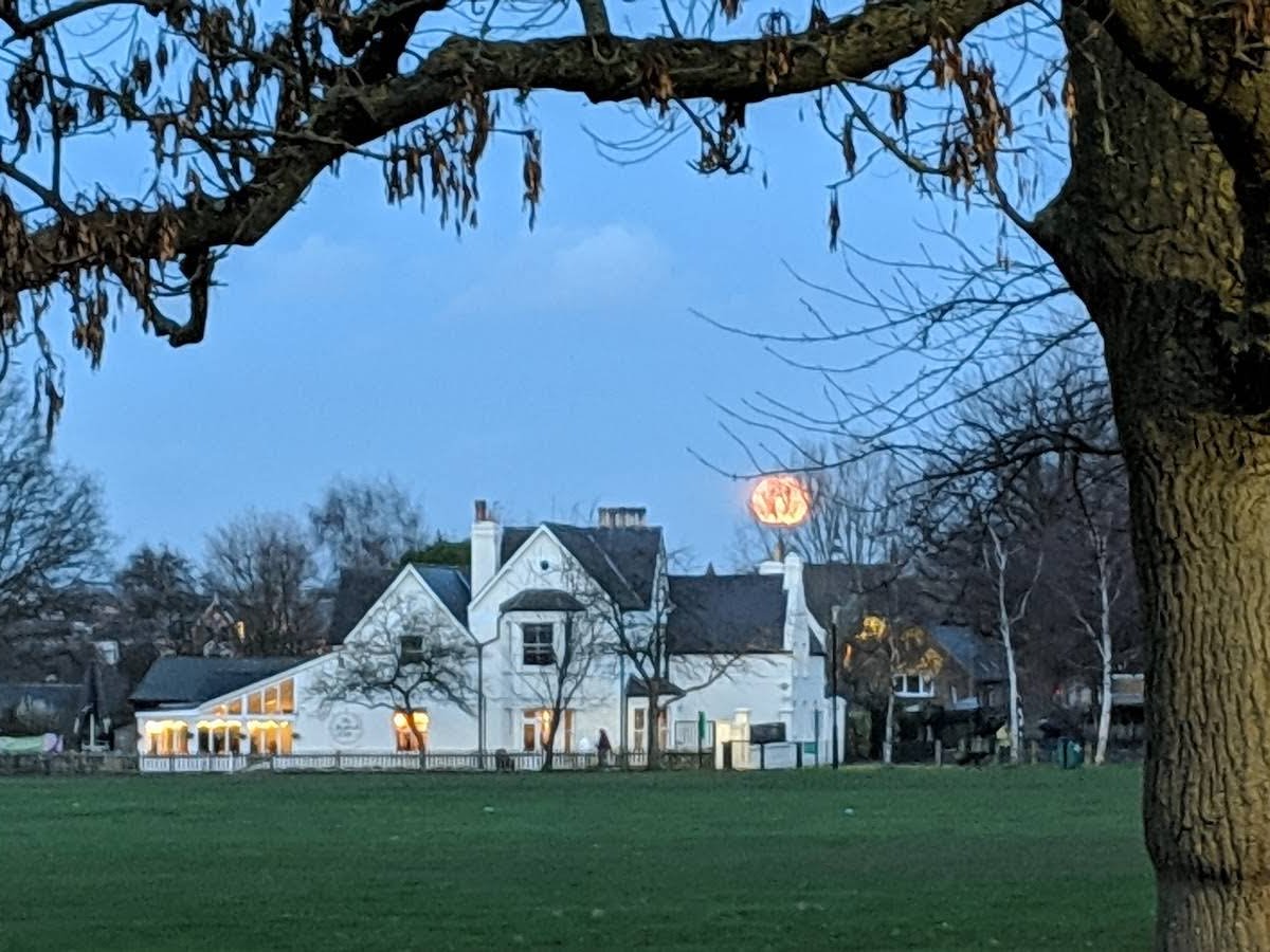 The Skylark Café specialty coffee shop in London - photo 10