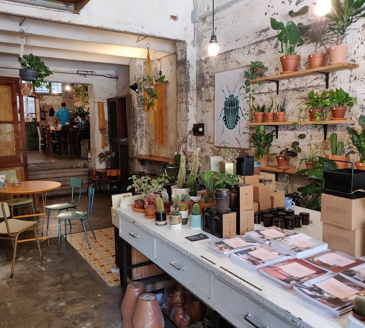 Joliu Studio specialty coffee shop in Barcelona - photo 4