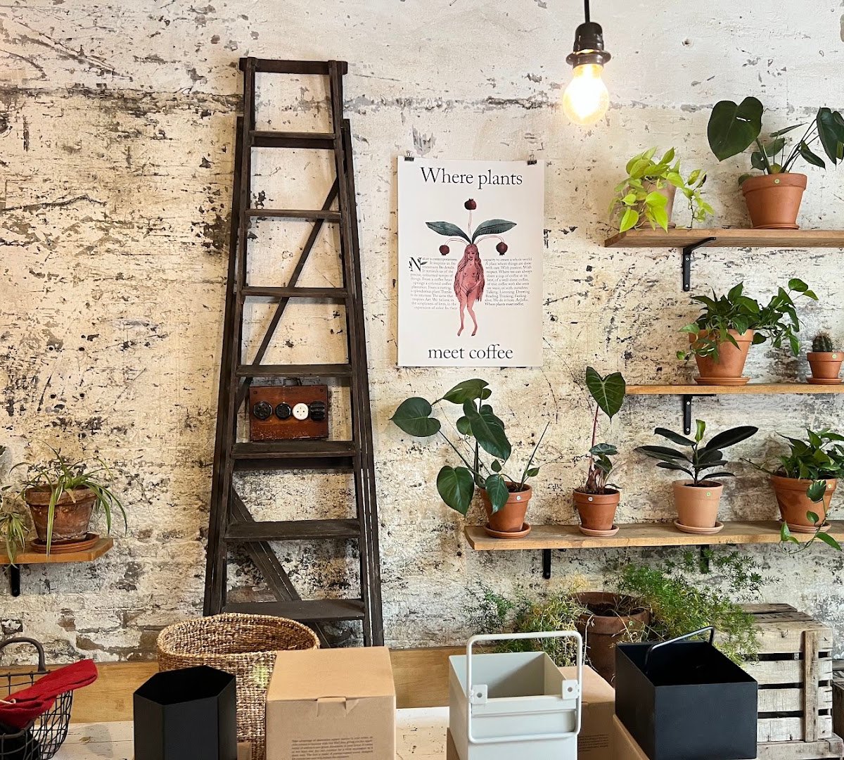 Joliu Studio specialty coffee shop in Barcelona - photo 9