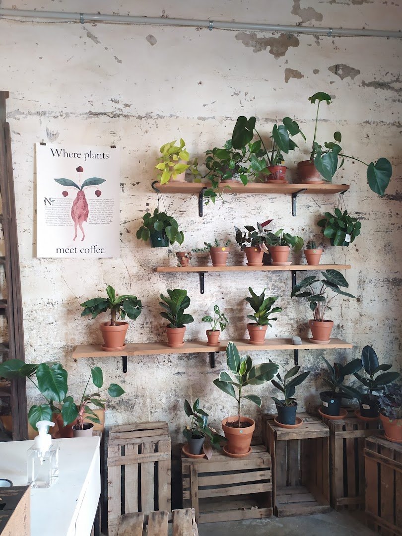 Joliu Studio specialty coffee shop in Barcelona - photo 10