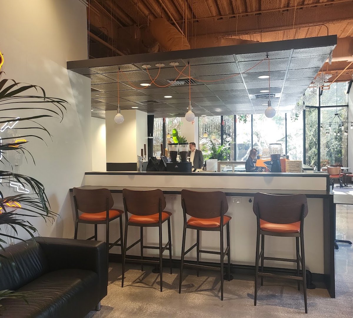 Interior of Blind Tiger Coffee Roasters, specialty coffee shop in Tampa-St. Petersburg