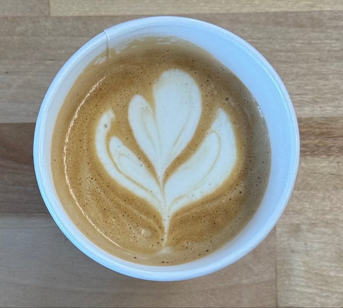 Coffee at Little House Roc, specialty coffee shop in Rochester