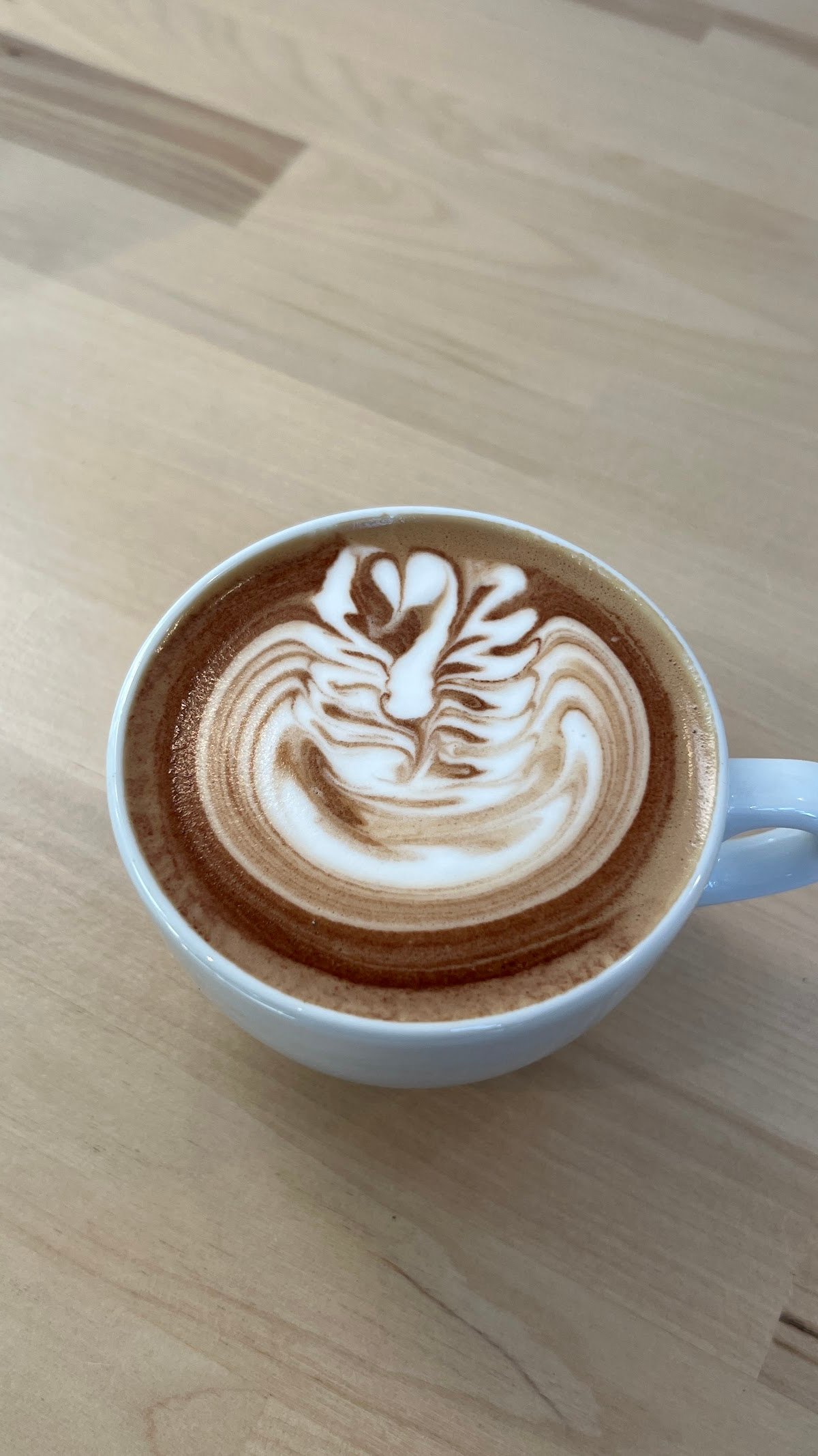 Flora + Fauna Cafe and Roaster specialty coffee shop in Nashville - photo 8