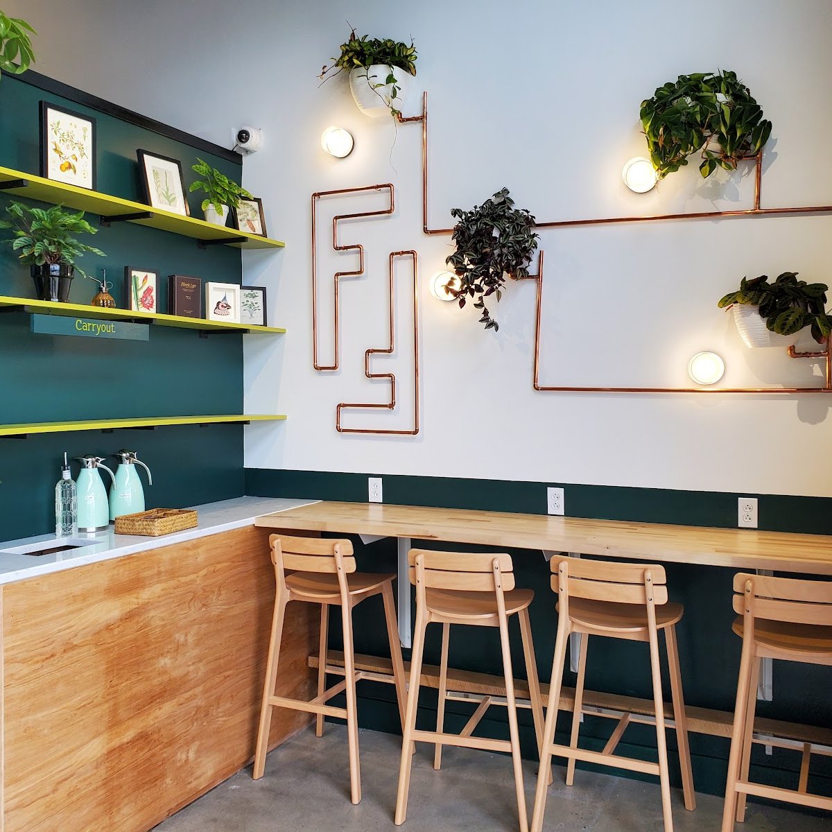 Flora + Fauna Cafe and Roaster specialty coffee shop in Nashville - photo 9