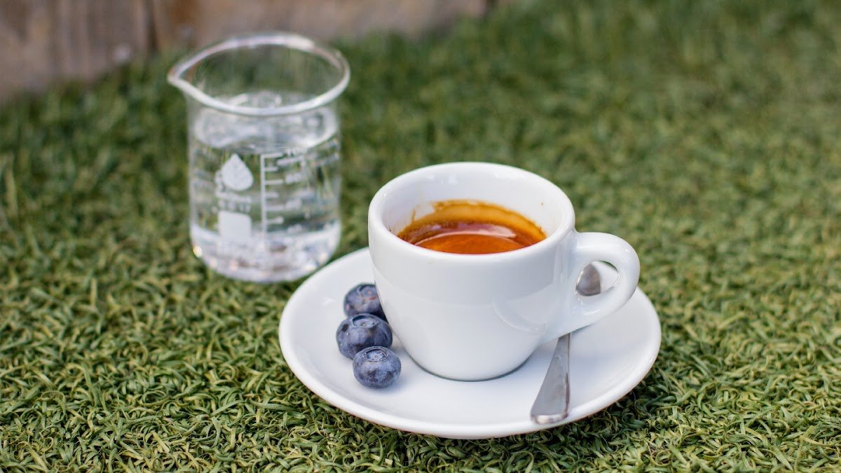 SPRO - Mission Dolores/Castro specialty coffee shop in San Francisco - photo 2