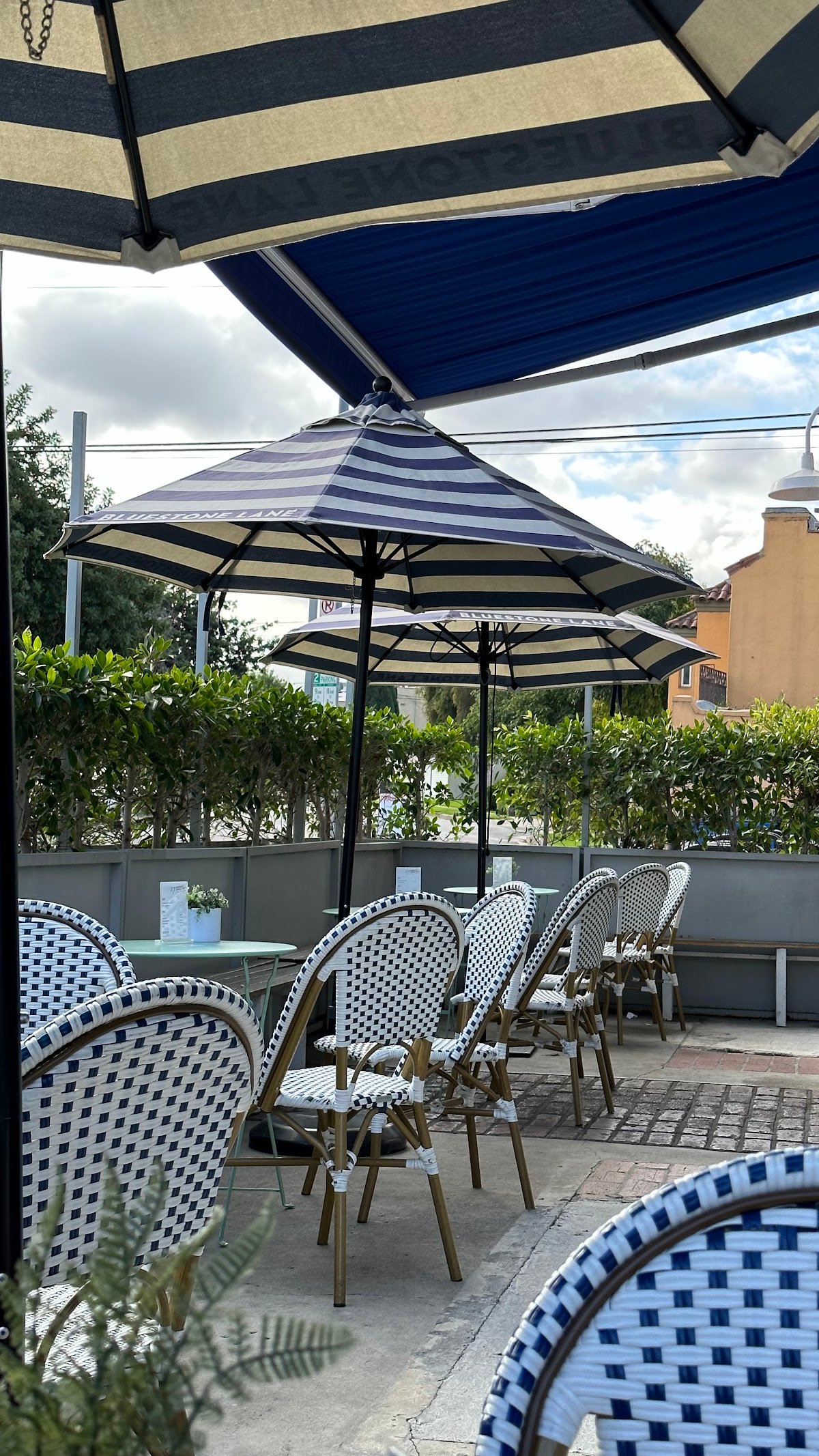 Bluestone Lane West Hollywood Café specialty coffee shop in Los Angeles - photo 3