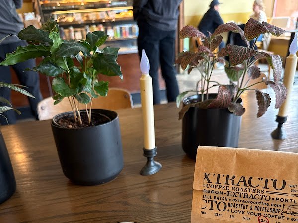 Extracto Coffee Roasters specialty coffee shop in Portland - photo 10