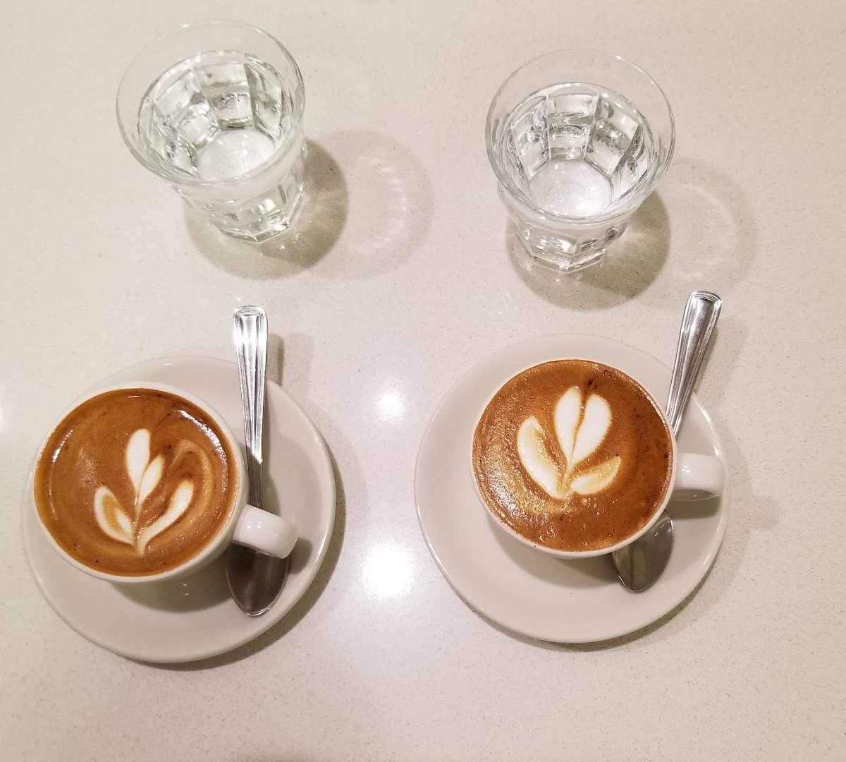 Coffee at Sam James Coffee Bar - PATH, specialty coffee shop in Toronto