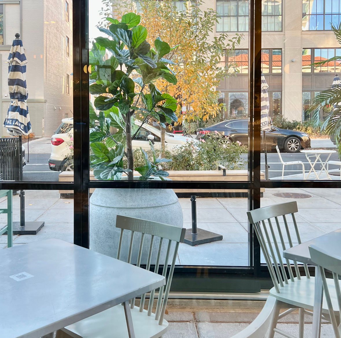 Bluestone Lane Logan Circle Café specialty coffee shop in Washington, D.C. - photo 2