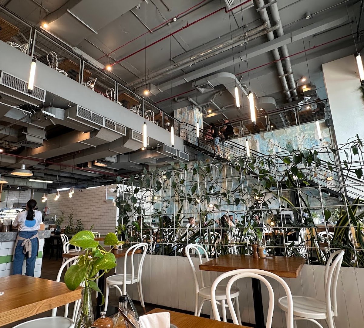 Tom&Serg. specialty coffee shop in Dubai - photo 7