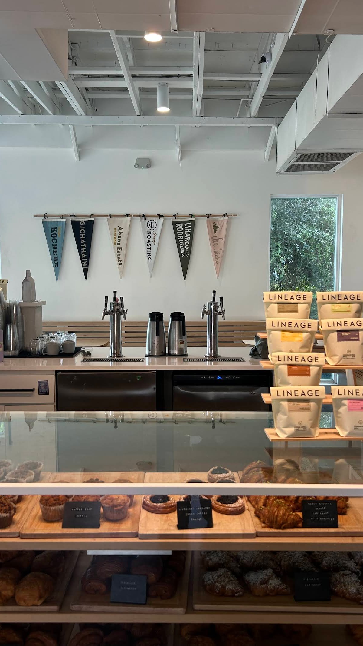 Lineage Coffee Roasting specialty coffee shop in Orlando - photo 3