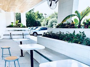 Lineage Coffee Roasting specialty coffee shop in Orlando - photo 6