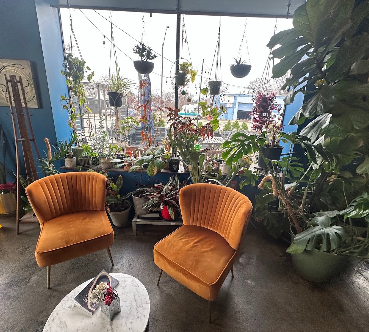 Interior of GoldLeaf Savory & Sweet, specialty coffee shop in Indianapolis