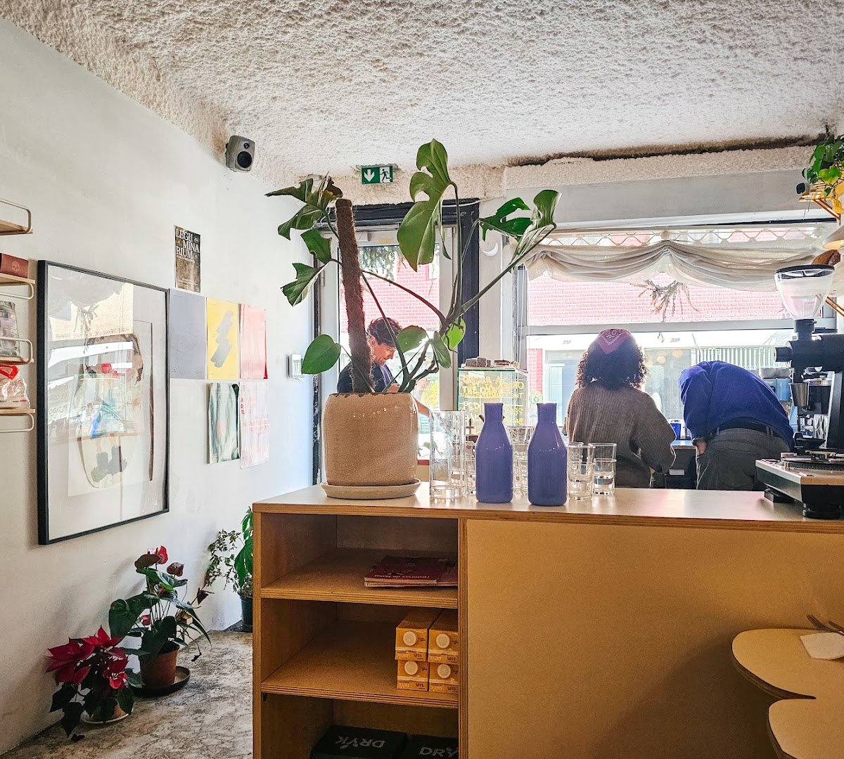 Interior of Hakko, specialty coffee shop in Porto