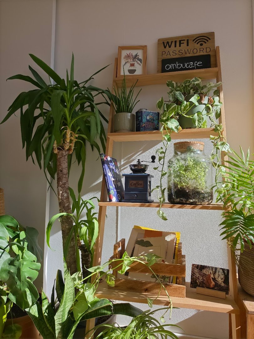 Ombú specialty coffee shop in Barcelona - photo 6