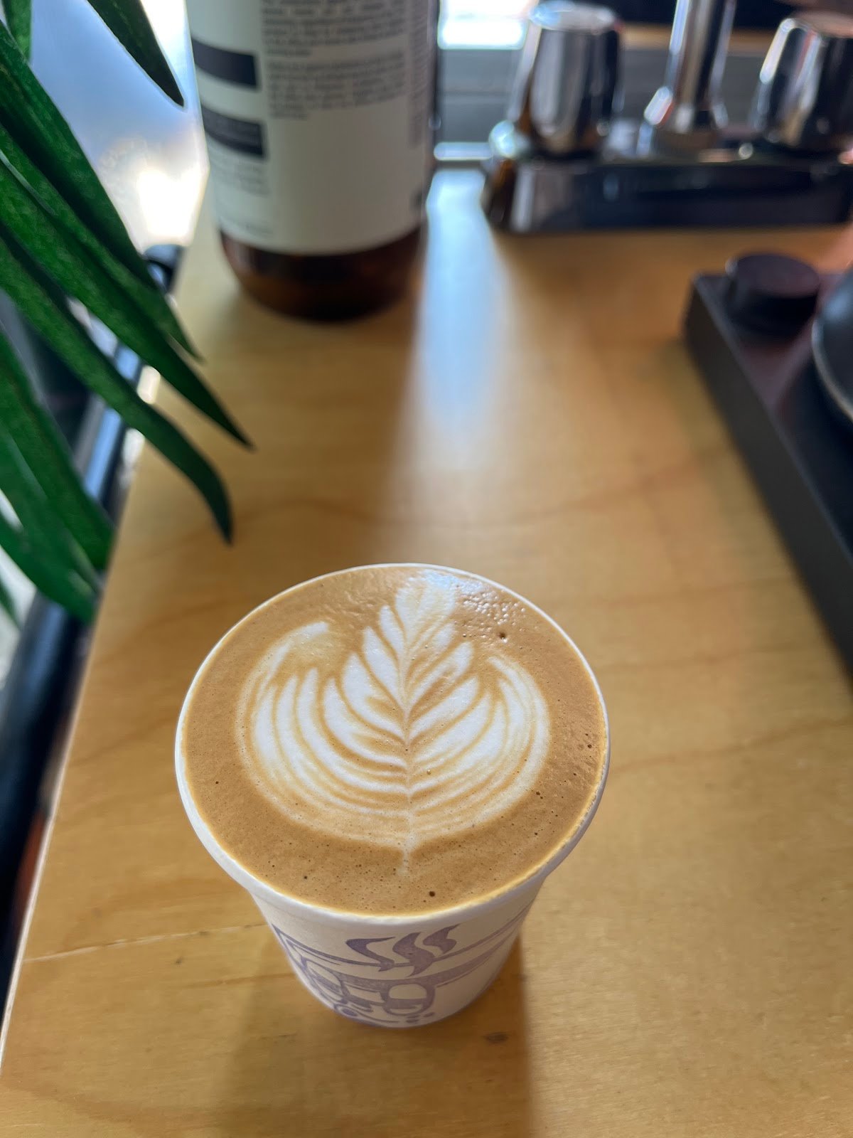 Weak Coffee specialty coffee shop in Nashville - photo 4