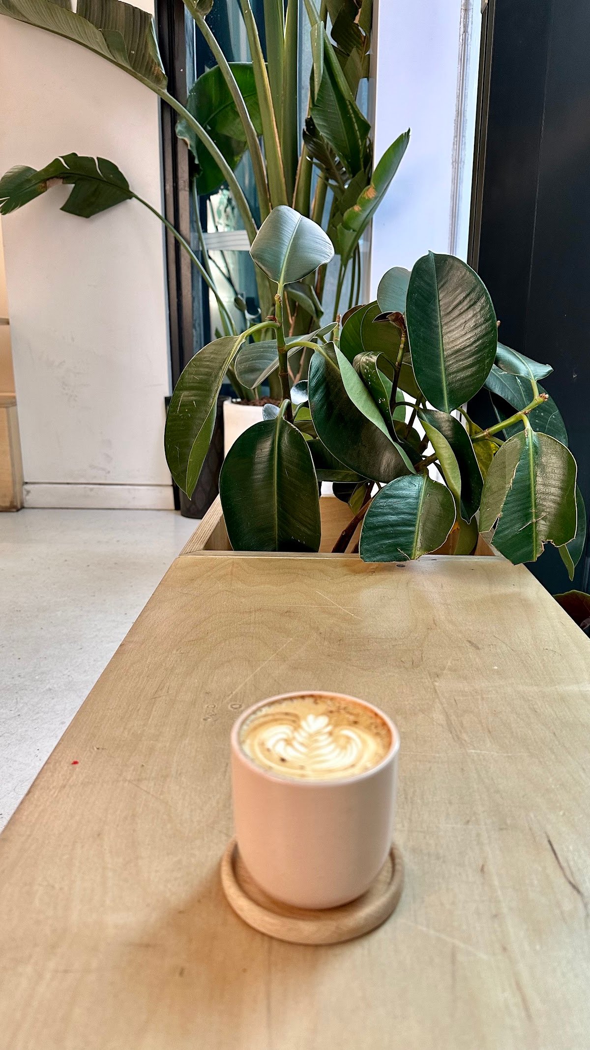 OKO Cafe specialty coffee shop in Melbourne - photo 7