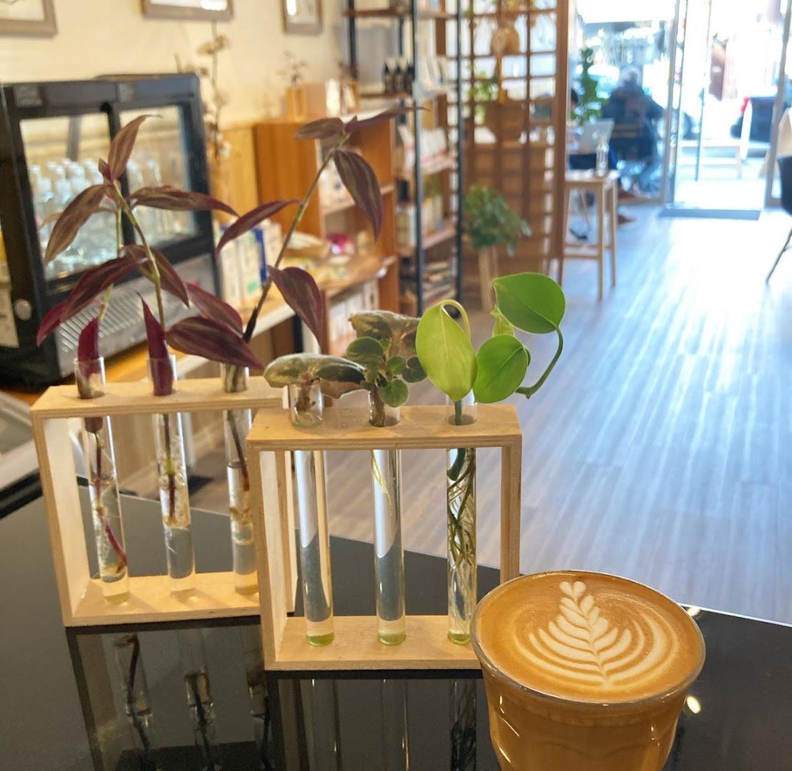 Interior of Ninetails Coffee | Bloor, specialty coffee shop in Toronto