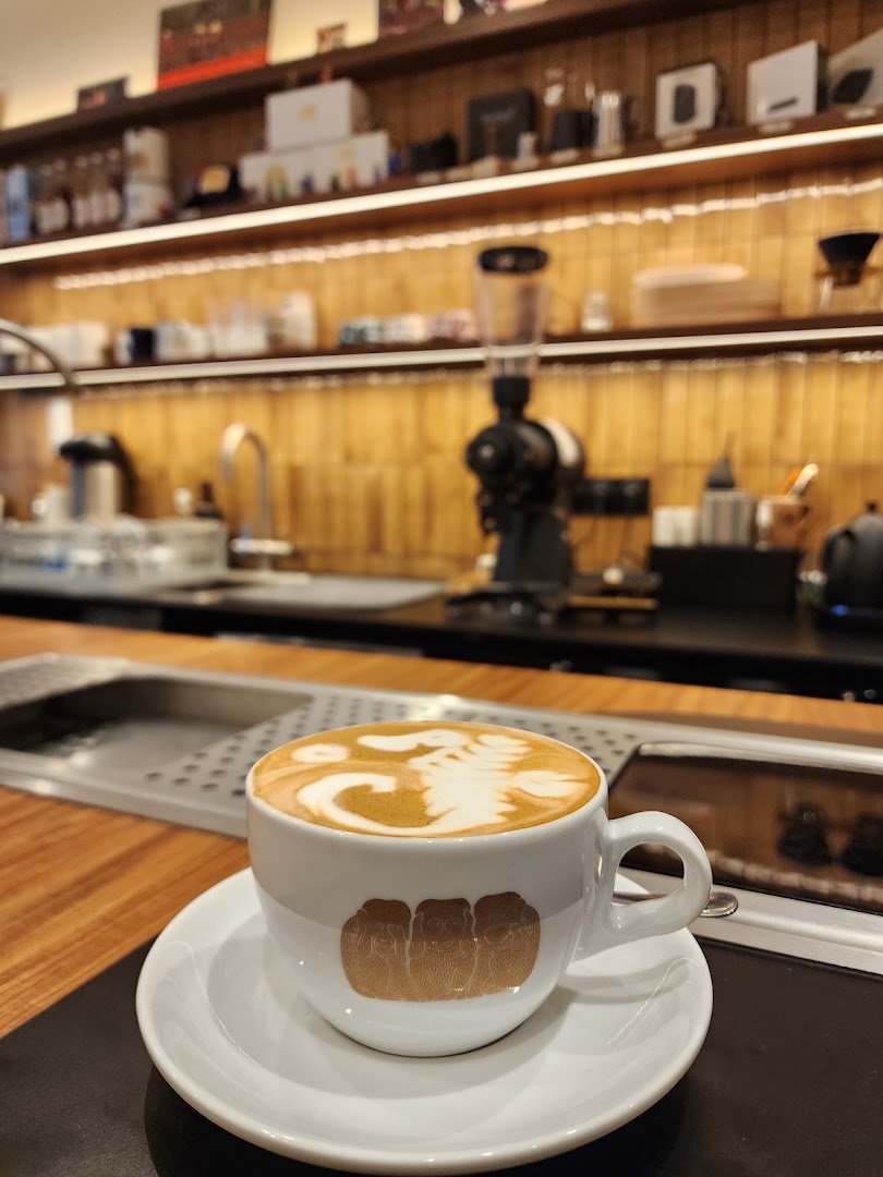 Terre de Cafe specialty coffee shop in Paris - photo 5