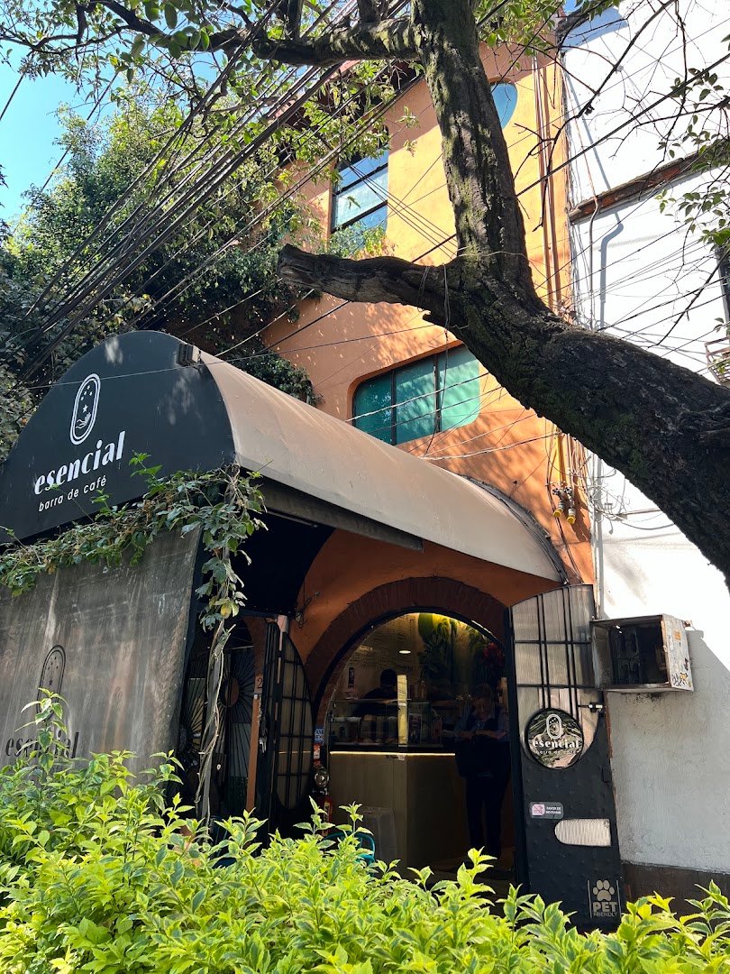 Storefront of Barra de Café Esencial, specialty coffee shop in Mexico City