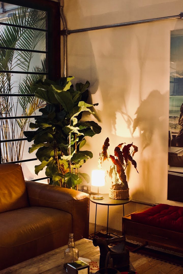 Interior of Coffee Lab 2, specialty coffee shop in São Paulo