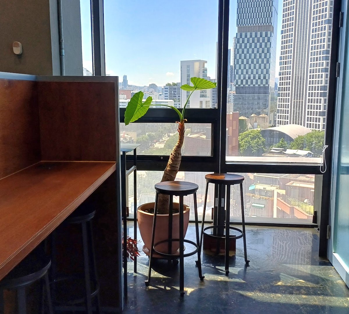Interior of Die Synthese Cafe, specialty coffee shop in Seoul