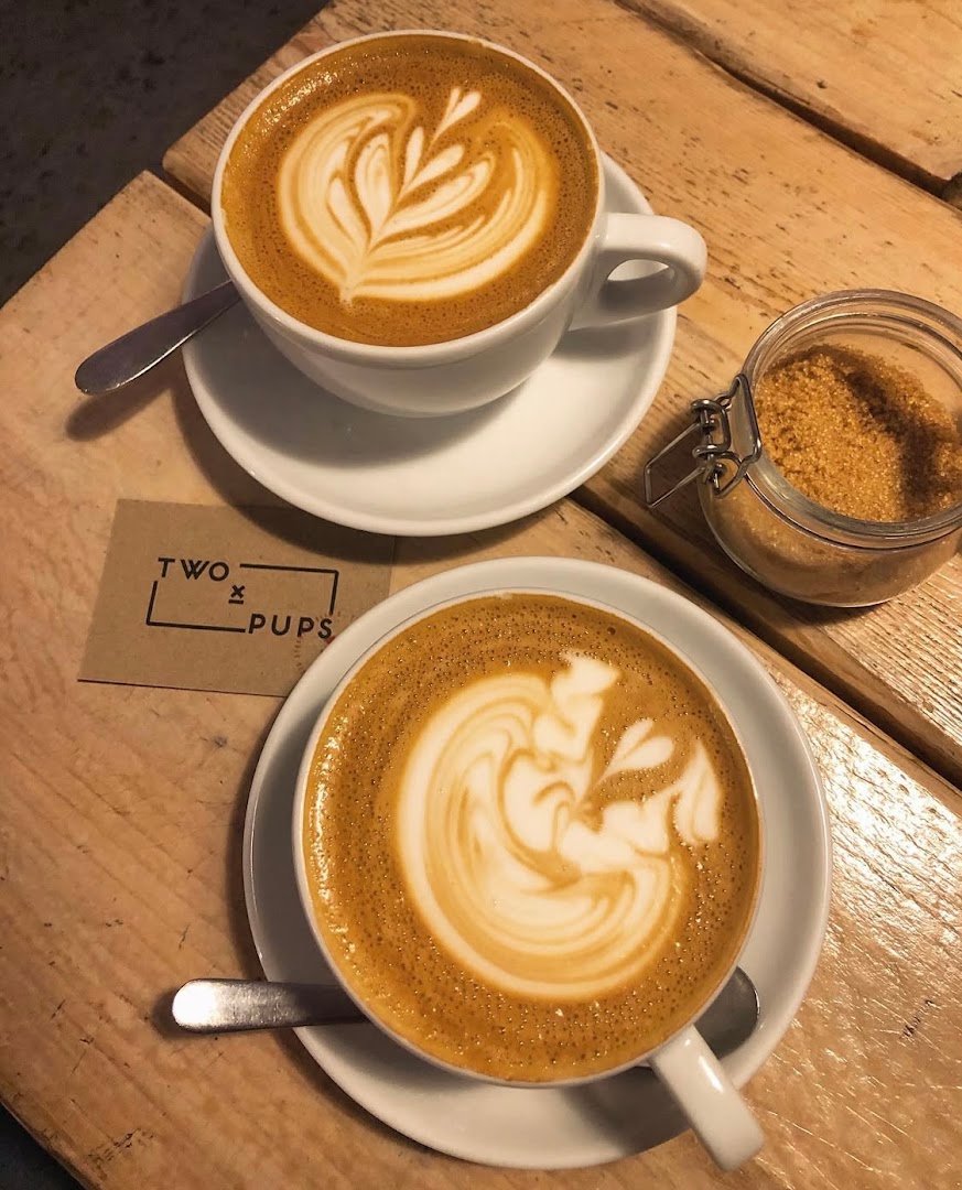 Two Pups specialty coffee shop in Dublin - photo 2