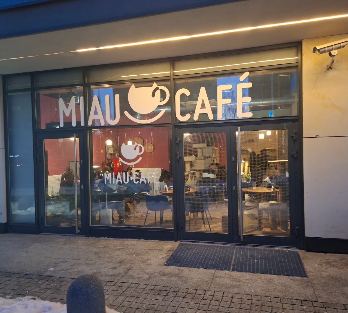 Storefront of Miau Cafe, specialty coffee shop in Warsaw