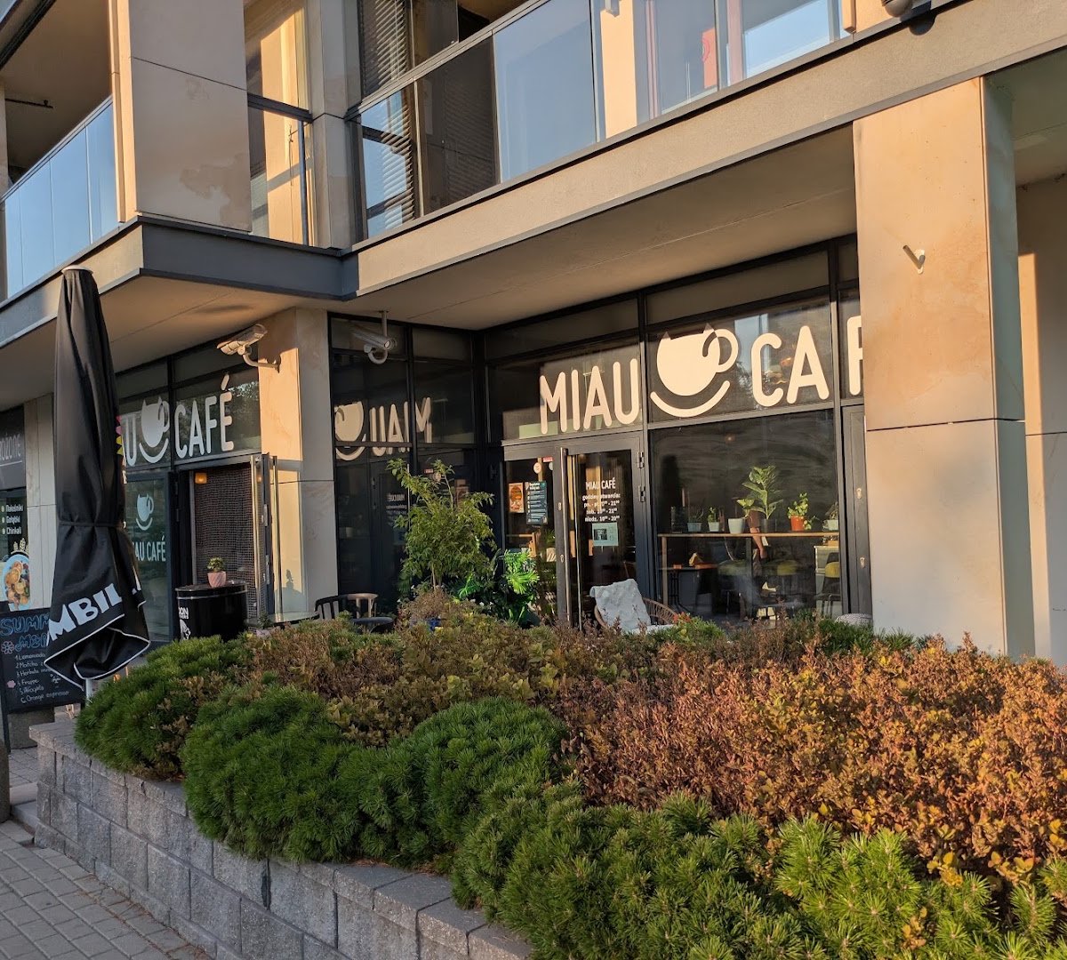 Storefront of Miau Cafe, specialty coffee shop in Warsaw