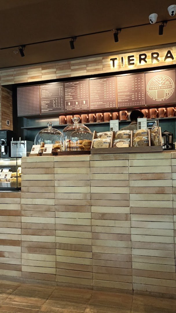 Interior of Tierra Garat, specialty coffee shop in Mexico City