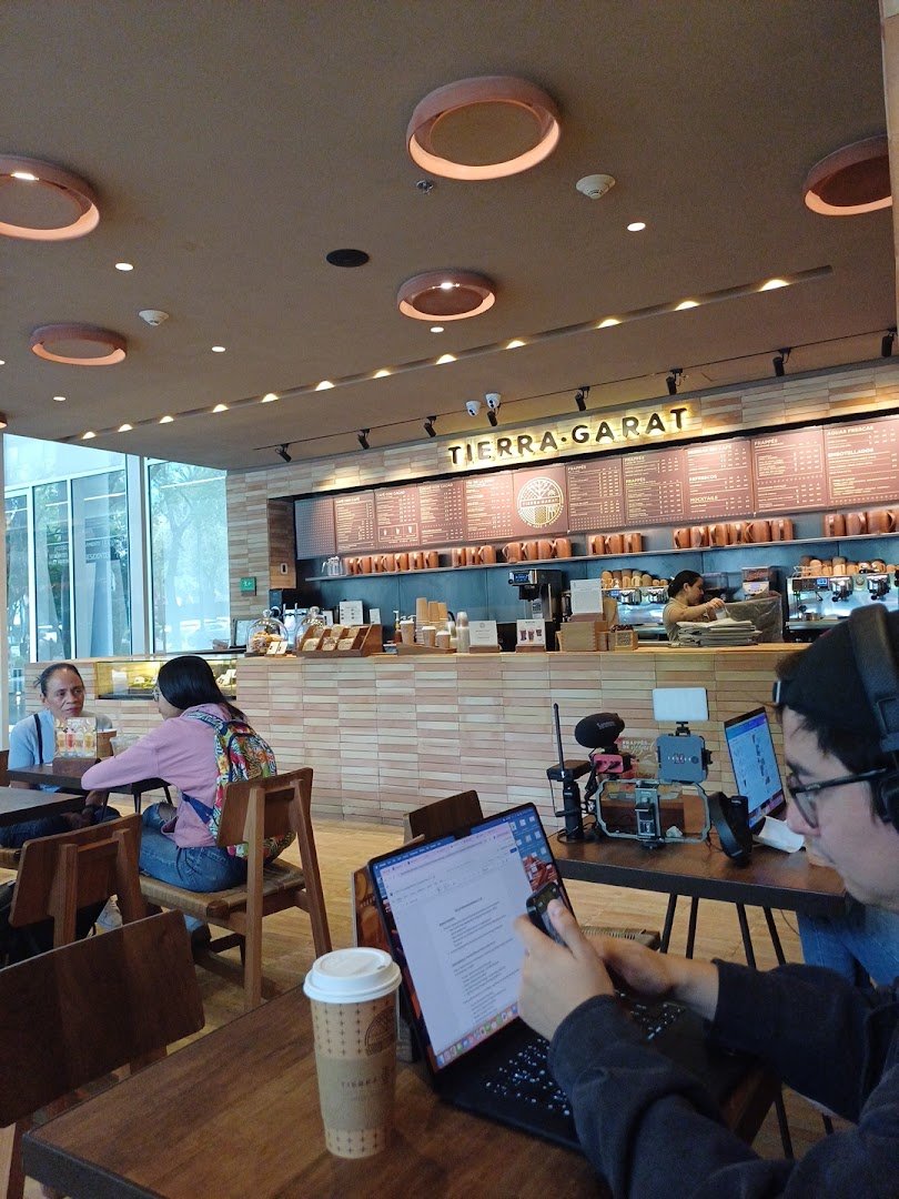 Interior of Tierra Garat, specialty coffee shop in Mexico City