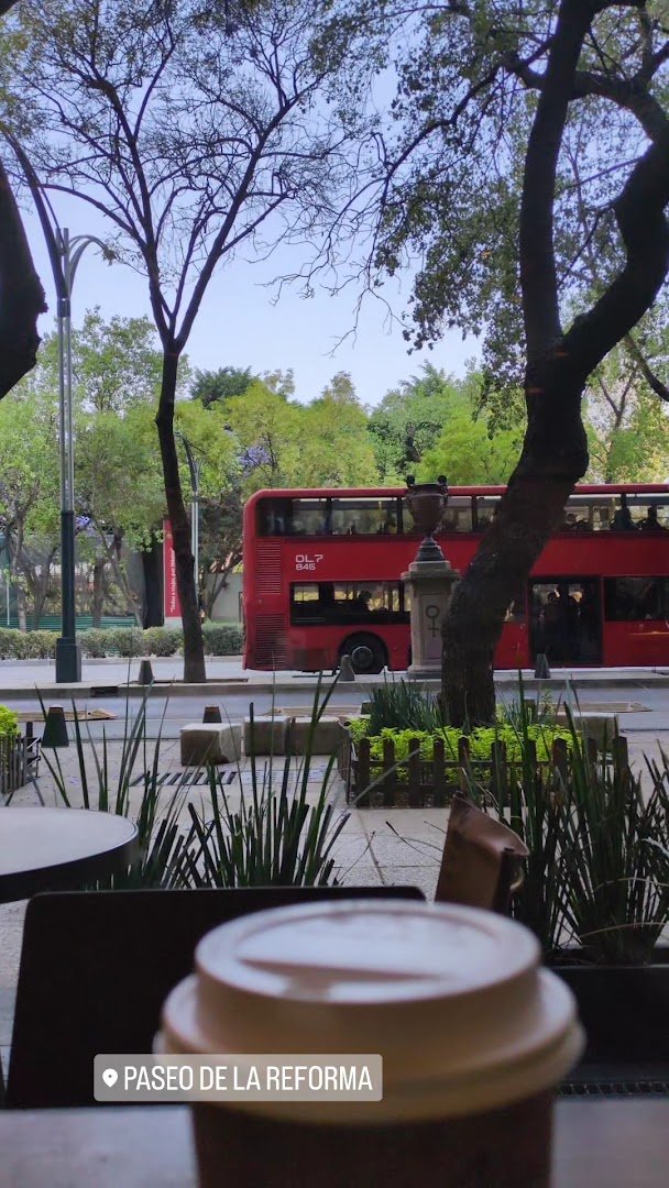 Coffee at Tierra Garat, specialty coffee shop in Mexico City