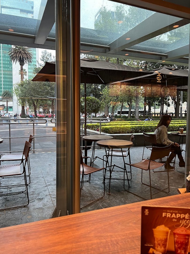 Interior of Tierra Garat, specialty coffee shop in Mexico City