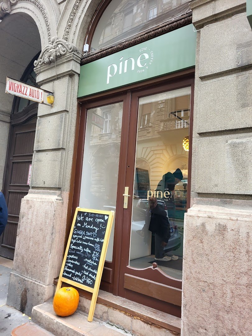 Pine - Coffee & More specialty coffee shop in Budapest - photo 10